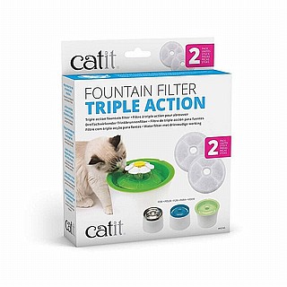 ����� ������ ��� CAT IT