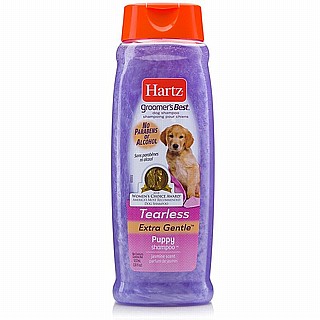 HARTZ ���� ���� ����� �����