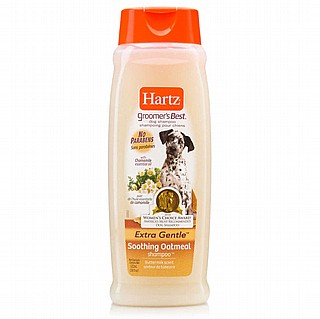HARTZ ���� ���� ����� ������ ������ ������ ���� �������