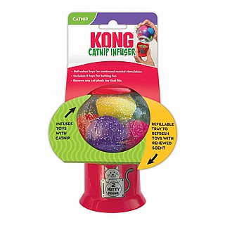 �������� ����� ���� ��� ����� ����� CCN5 ���� KONG
