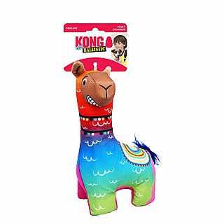 KONG ���� ����� ���� �������� ����