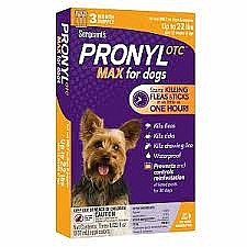 ������ OTC MAX ���� �� 10�"�