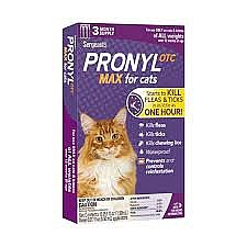 ������ OTC MAX �����