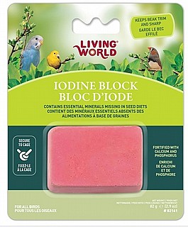 ��� ��� ����� �������� - ������ ����� / LIVING WORLD