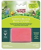��� ��� ����� �������� - ������ ����� / LIVING WORLD