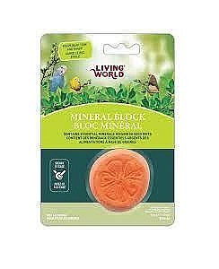 ��� ������� ���� ���� �������� - ������ ����� / LIVING WORLD