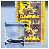 מזון קפוא לדגי נוי דפניה 100 גר' - KATRINEX Daphnia mražené 100g מזון קפוא לדגי נוי דפניה 100 גר' - KATRINEX Daphnia mražené 100g