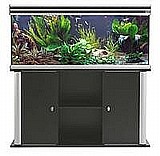 אקווריום אוויזן 230L אקווריום אוויזן 230L