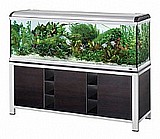 אקווריום סטאר - 1.20 מטר אקווריום סטאר - 1.20 מטר