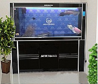 ��������, ��� ������ 487 ���� Minjiang