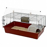 ���� ������ 100