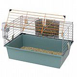 ���� ������ 60