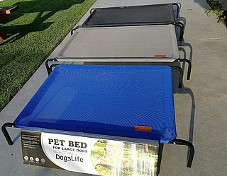 ���� ���� ��������� ������ elevated bed for dogs 114x76x20