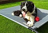 מיטה קטנה אורטופדית לכלבים elevated bed for dogs 90*55*20