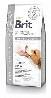 ���� ���� ������ ���� ����� 12�"� brit joint and mobility 