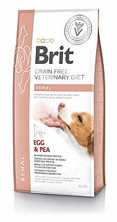 ���� ����� ������ 12 �"� brit renal