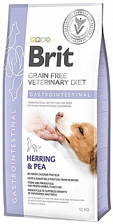 ���� ���� ������ ���� ����� 12�"� brit gastrointestinal