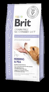 ���� ����� ���� 5 �"� BRIT gastro intestinal