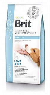 ���� ���� ������ ���� ����� 12 �"� brit obesity 