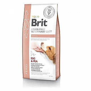 ���� ���� ������ ���� ����� 12 �"� brit renal
