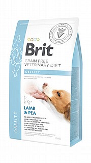 ���� ���� ������ ���� ����� 2 �"� brit obesity 