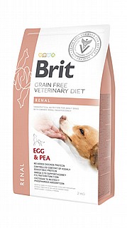���� ���� ������ ���� ����� 2 �"� brit renal