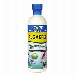 ���� ������ �� �����- ������� ALGAEFIX