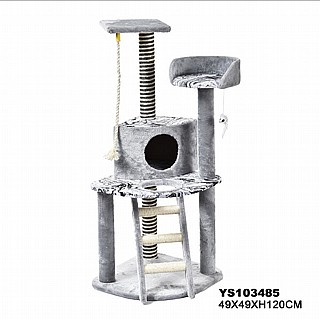 ���� ����� ������� - My Pet 915958