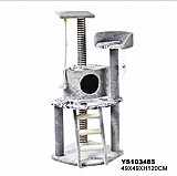 ���� ����� ������� - My Pet 915958