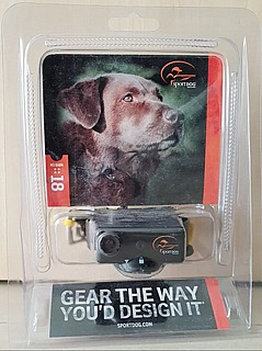 ���� ������ 18 ���� - sport dog 
