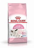 ����� ���� ����� 4 �"� Royal Canin Mother and Baby