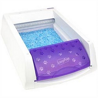  PetSafe -�� ���� ������ �������� ����� ��� ���� �� ���� Petsafe