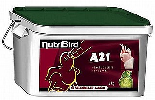 ����� ������� �� ����� ����� A21 ����� 3 �"�
