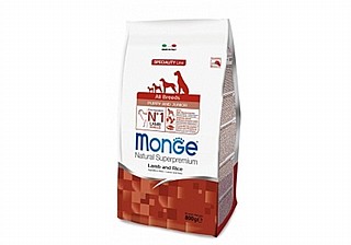 ����' ������ ��� ����� 2.5 �"� monge