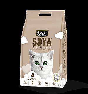 ��� ��� ���� ��� ������� ���� ���- kit cat soya coffe