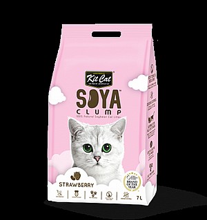��� ��� ���� ��� ������� ���� ���- kit cat soya strawberry