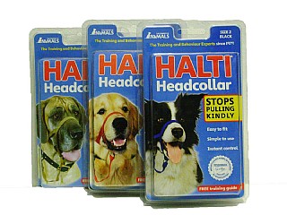 ����� ���� ��� ���� . Halti Headcollor