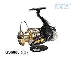 ���� ����� GS-R SPIN FOUCS