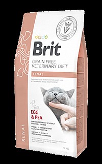 ���� ���� ����� ����� 5 �"� BRIT RENAL