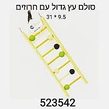 ���� ����� ���� �� ������� 