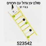 ���� ����� ���� �� ������� 