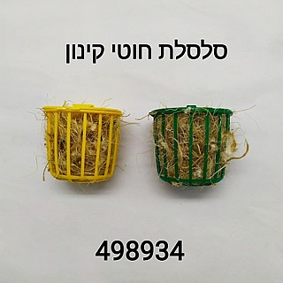 ���� ����� ������