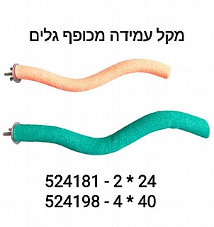 ��� ����� ���� ����� ���� 