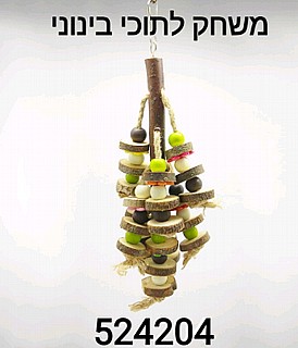 ���� ����� ������