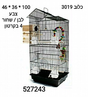 ���� 3019