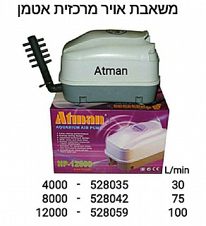 ����� ���� ������ HP 4000