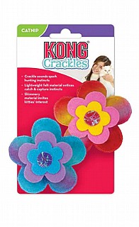 ���� - ��� ����� ����� �� ����� ����� KONG
