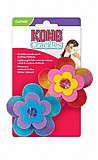 ���� - ��� ����� ����� �� ����� ����� KONG