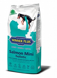 ����� ���� ���� ������� ������ ������ ���� ��� ����� 2 �"� Winner Plus