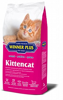 ����� ���� ���� �� ���� ���� ������� ����� ������ 2 �"� Winner Plus